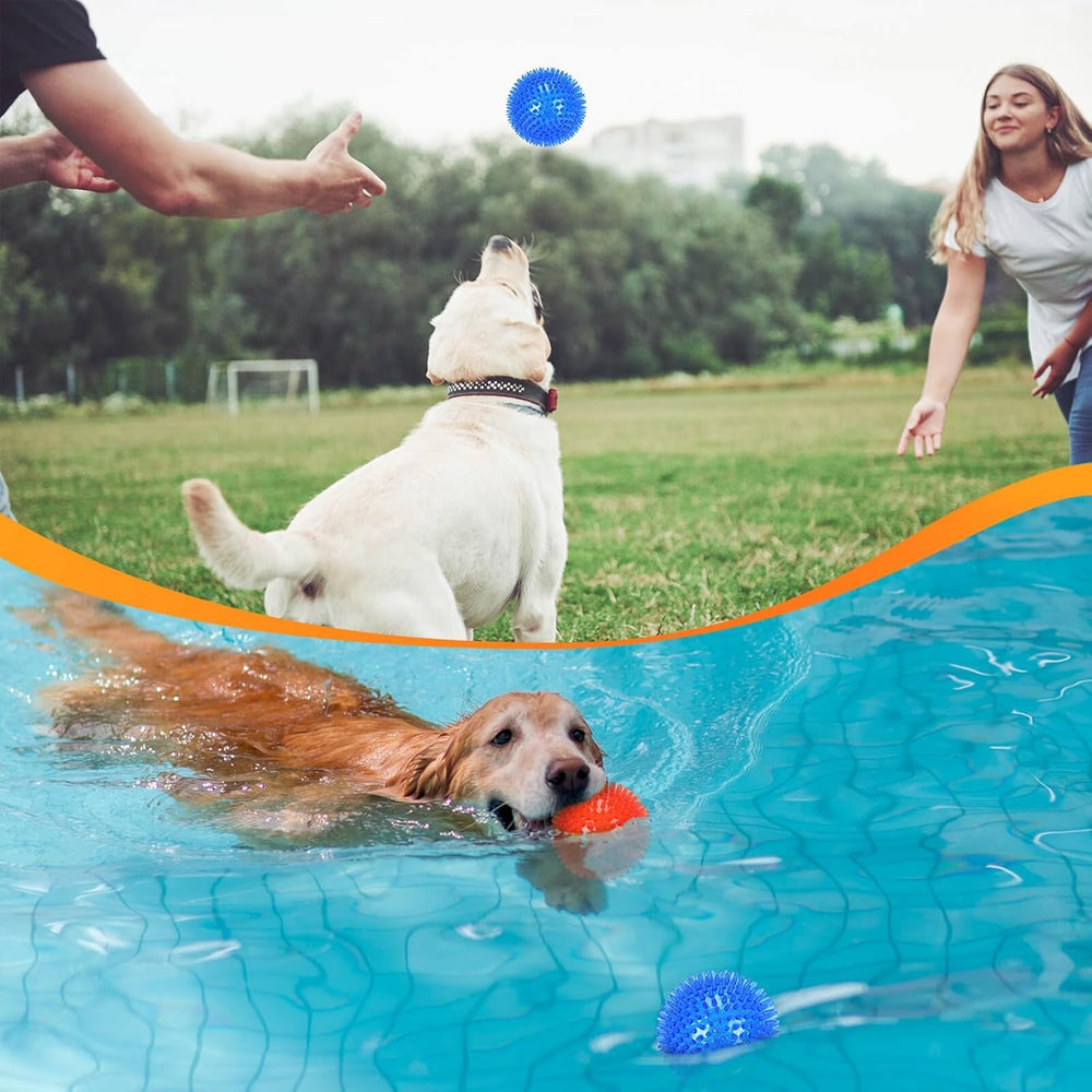 Durable-squeaky-dog-balls training-and-fetch-friendly toy for home or yard.