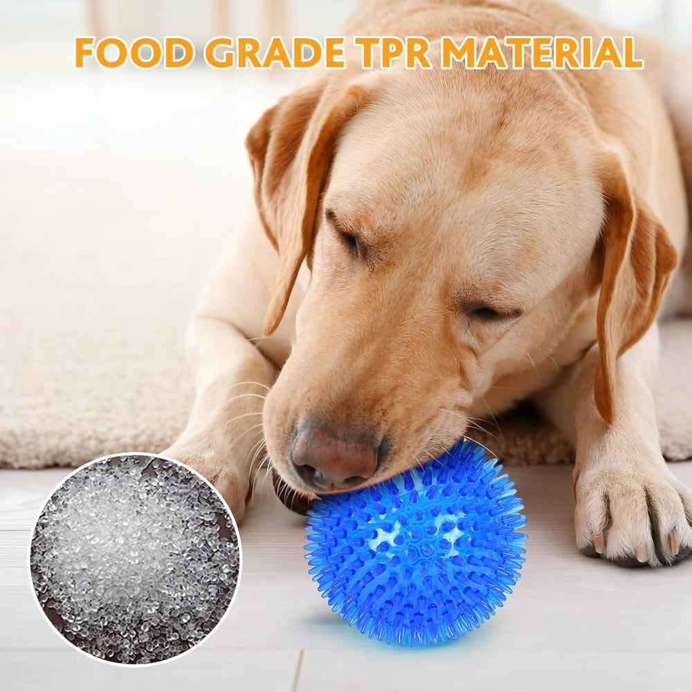 Durable-squeaky-dog-balls two-pack provides long-lasting entertainment.
