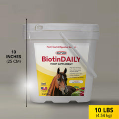 Durvet Biotin Daily usage diagram demonstrates feeding directions and daily routine