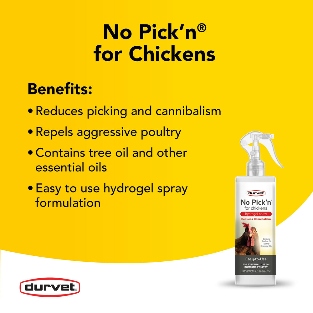Durvet No Pick'n for Chickens hydrogel spray demonstrates easy application for poultry care.