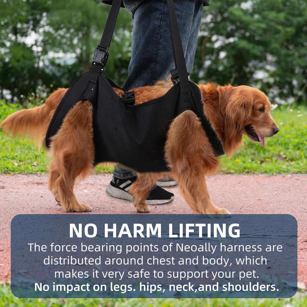 Duuclume Dog Lift Harness strengthens bonding and independence for aging dogs.