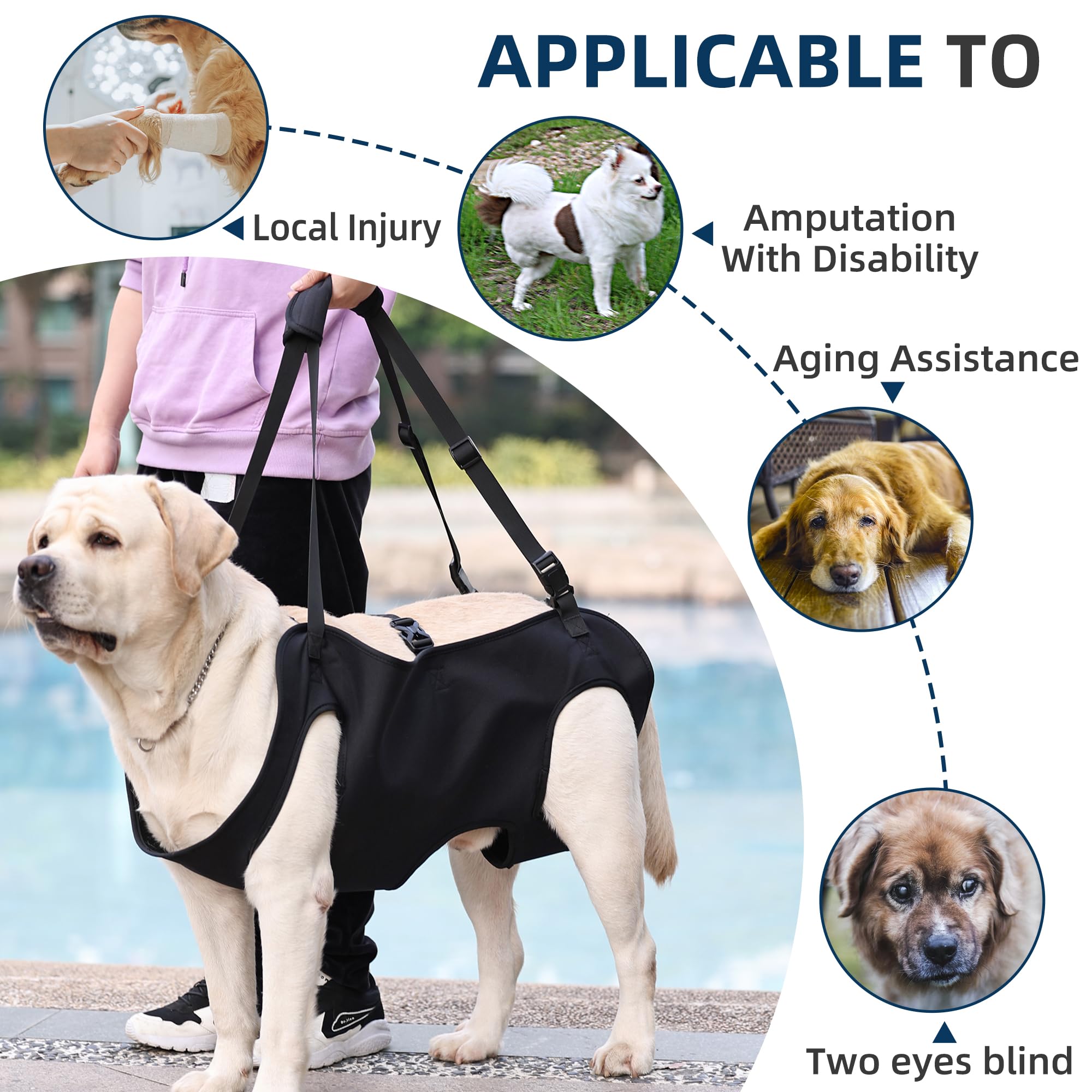 Duuclume Dog Lift Harness aids rehabilitation by easing movement strain.