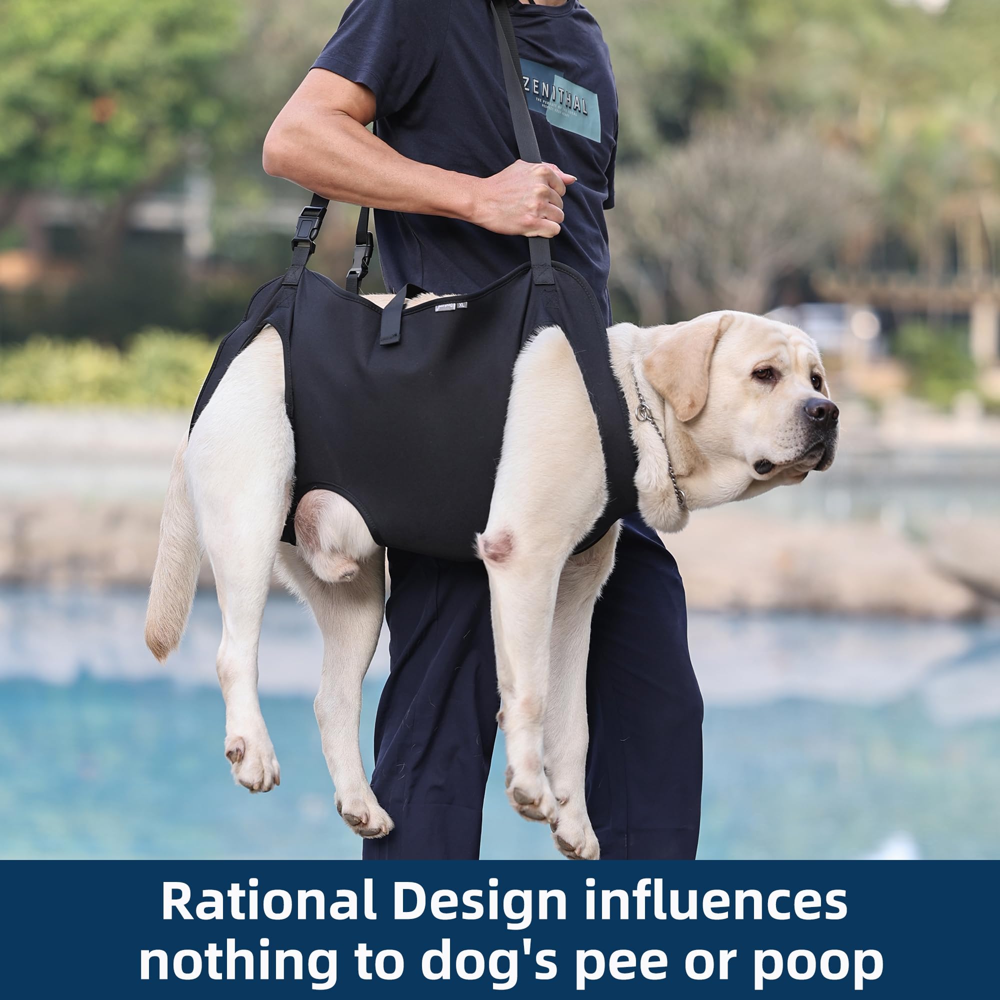 Duuclume Dog Lift Harness sling carrier facilitates transfers near vet or outdoors.