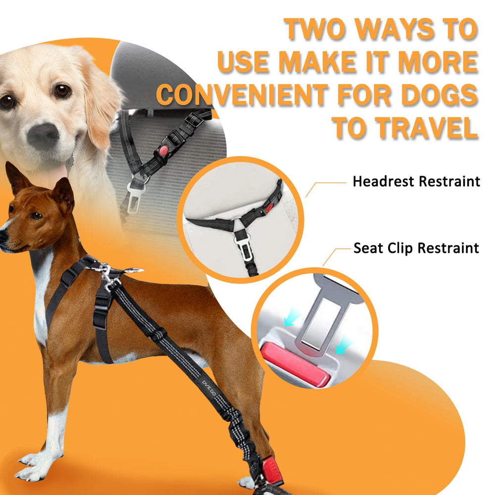DVEDO dog car harness use-case shows calm, secure ride for pets