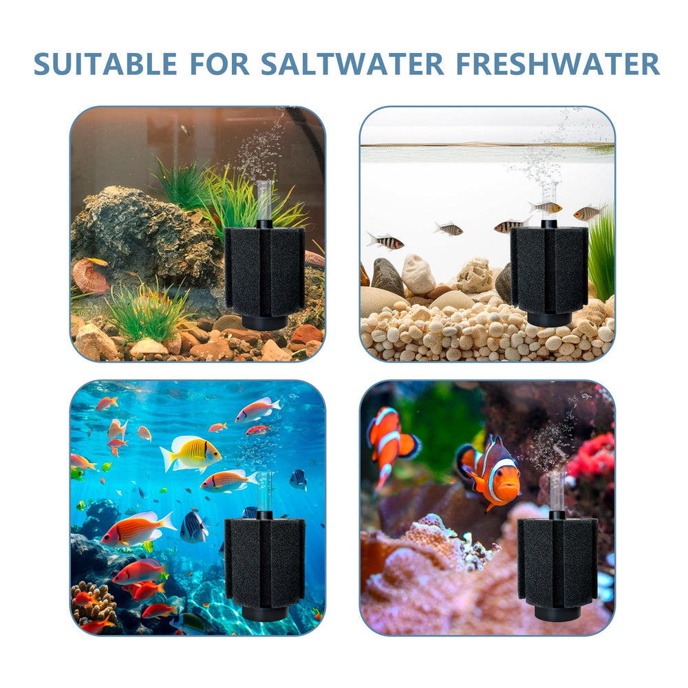 DVHEY 60-70 gallon aquarium setup ideal for breeding fry and shrimp.