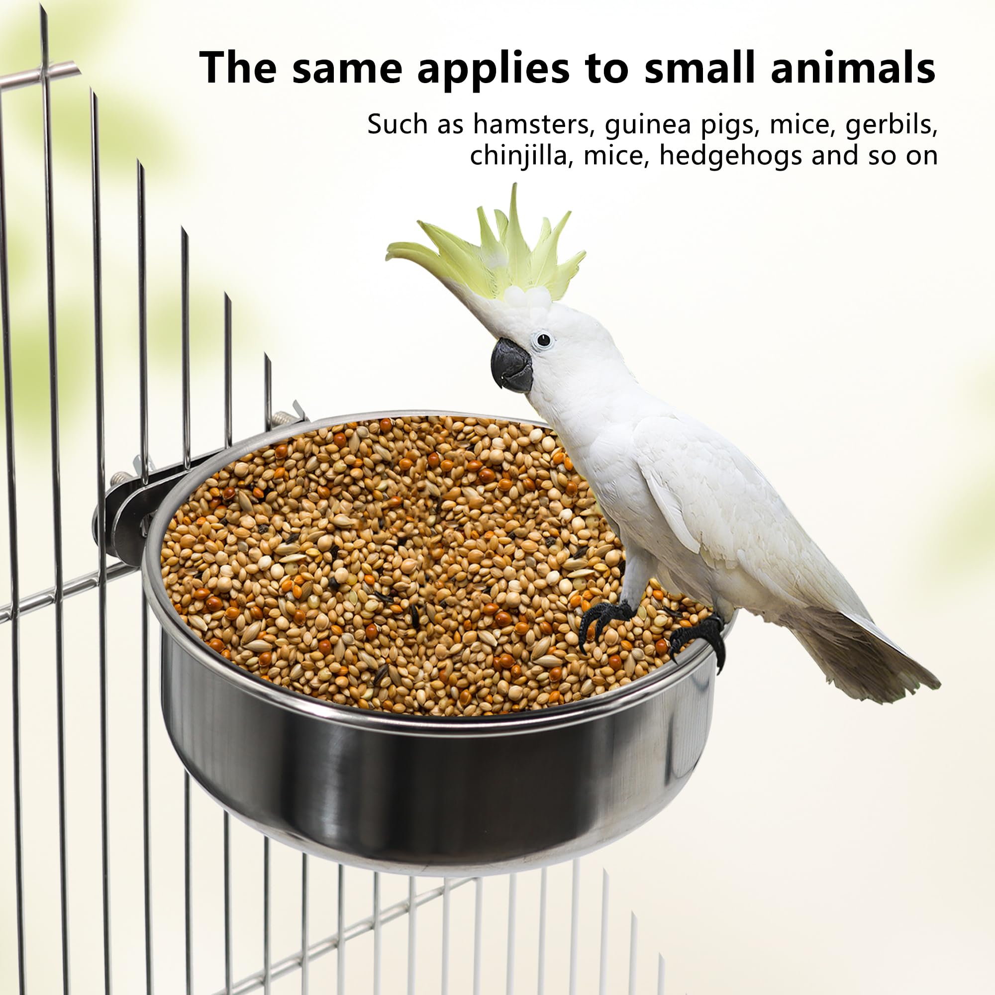 DVHEY bird feeder system in a cage reduces mess.