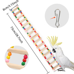 DVHEY installation-ready cage setup with hanging ladder promotes interactive play