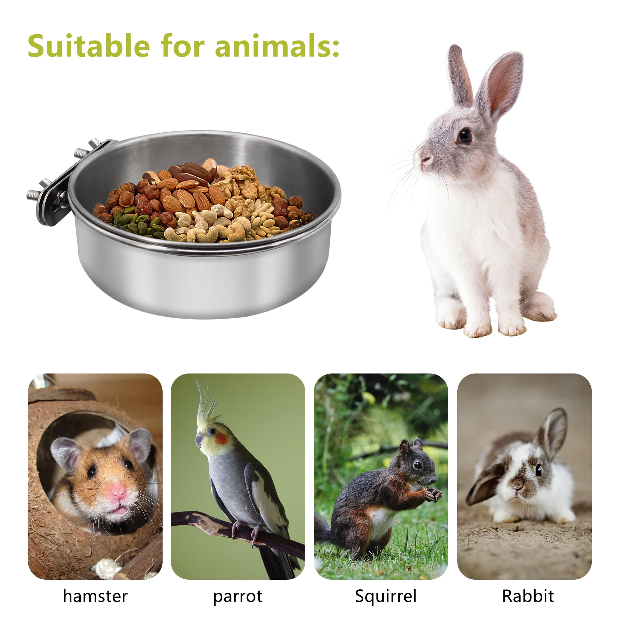 DVHEY stainless steel bird bowl designed for quick, easy cleaning.