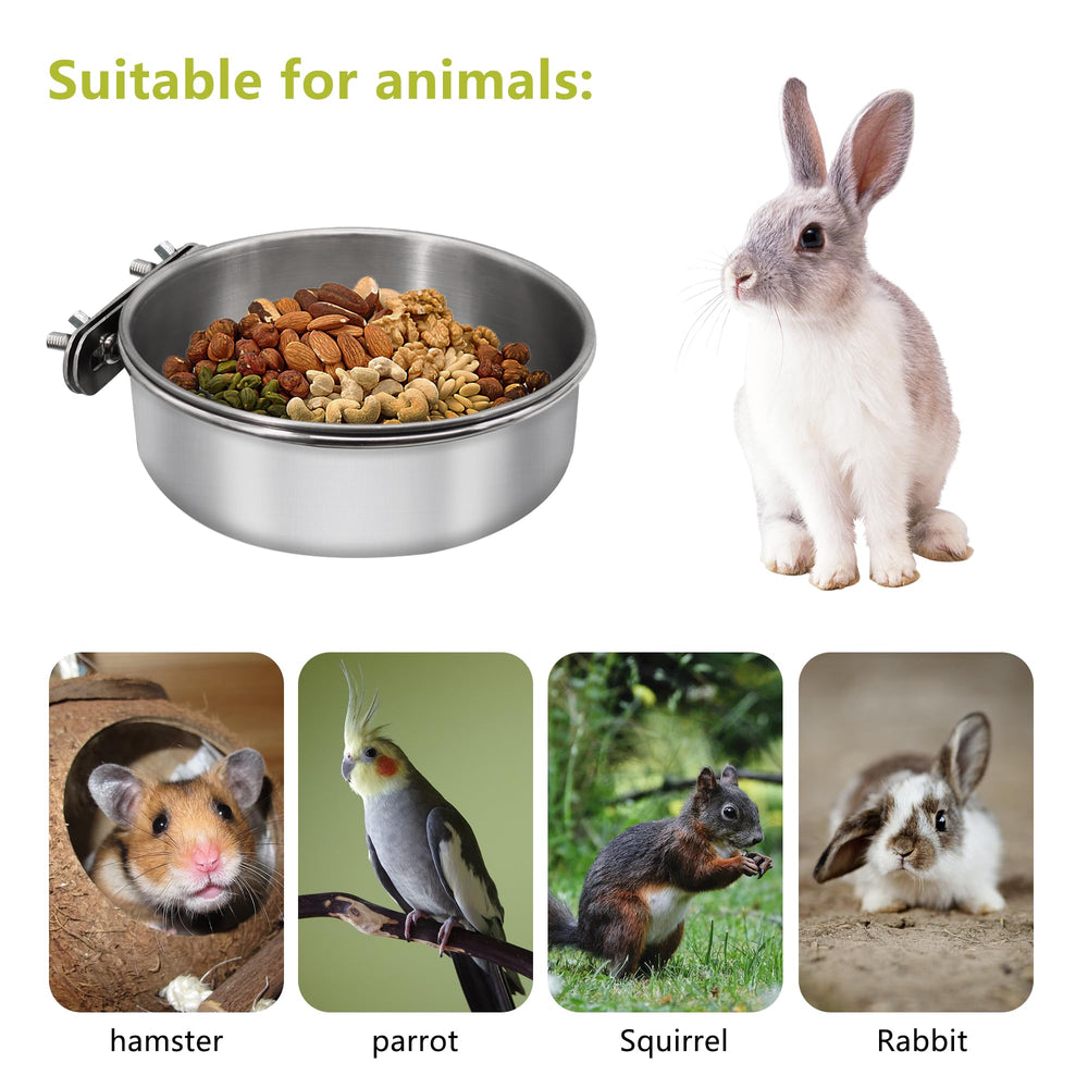 DVHEY stainless steel bird bowl designed for quick, easy cleaning.