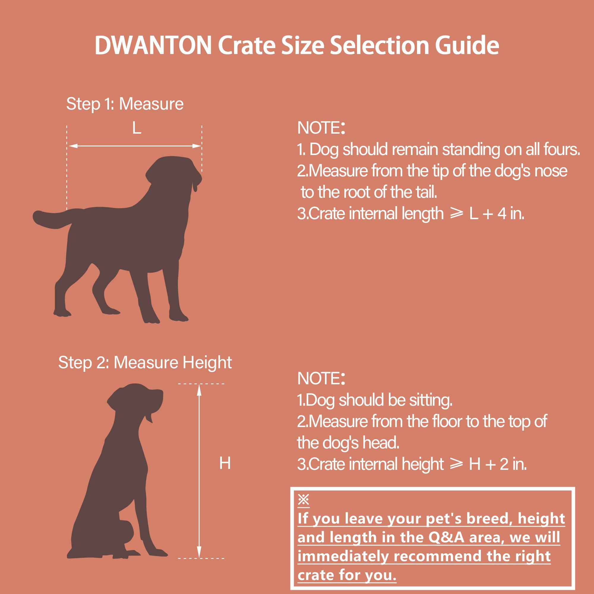 Dwanton crate interior shows cushion for warm, cozy sleeps.