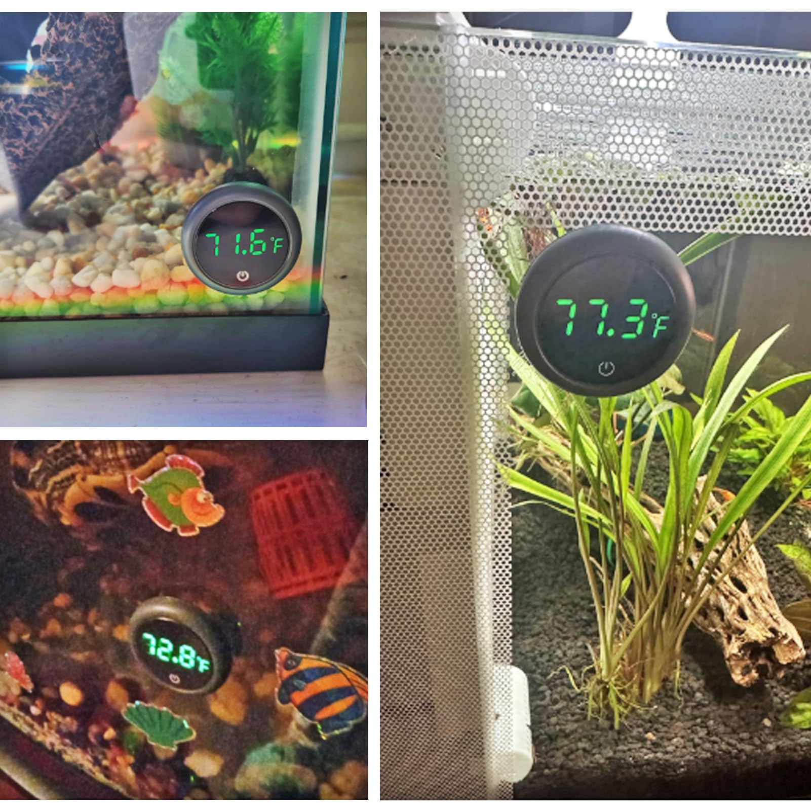 DWEII 2pack setup in a home aquarium shows reliable dual-monitoring option.