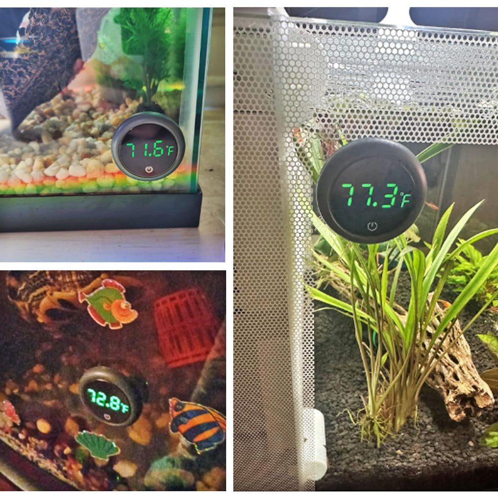 DWEII 2pack setup in a home aquarium shows reliable dual-monitoring option.