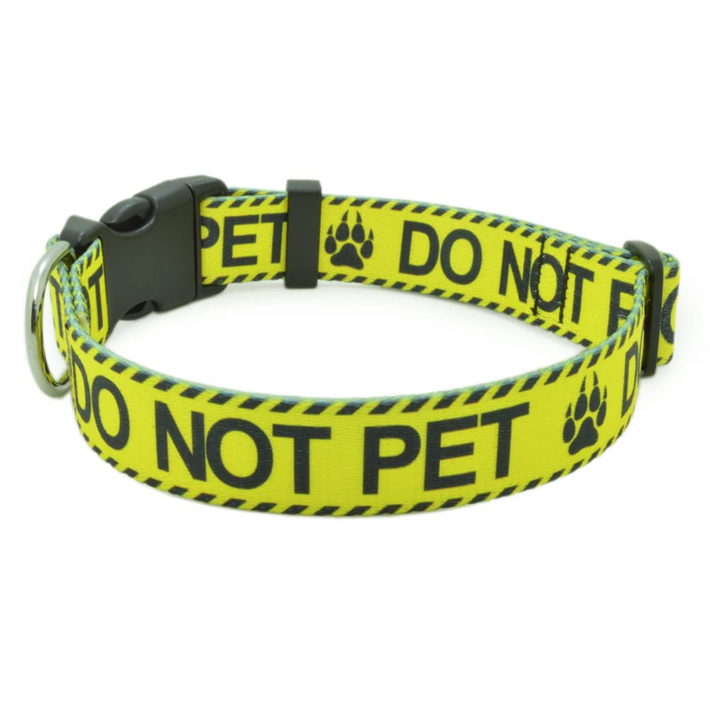 DWOOFG DO NOT PET yellow-buckle collar signaling caution during walks.