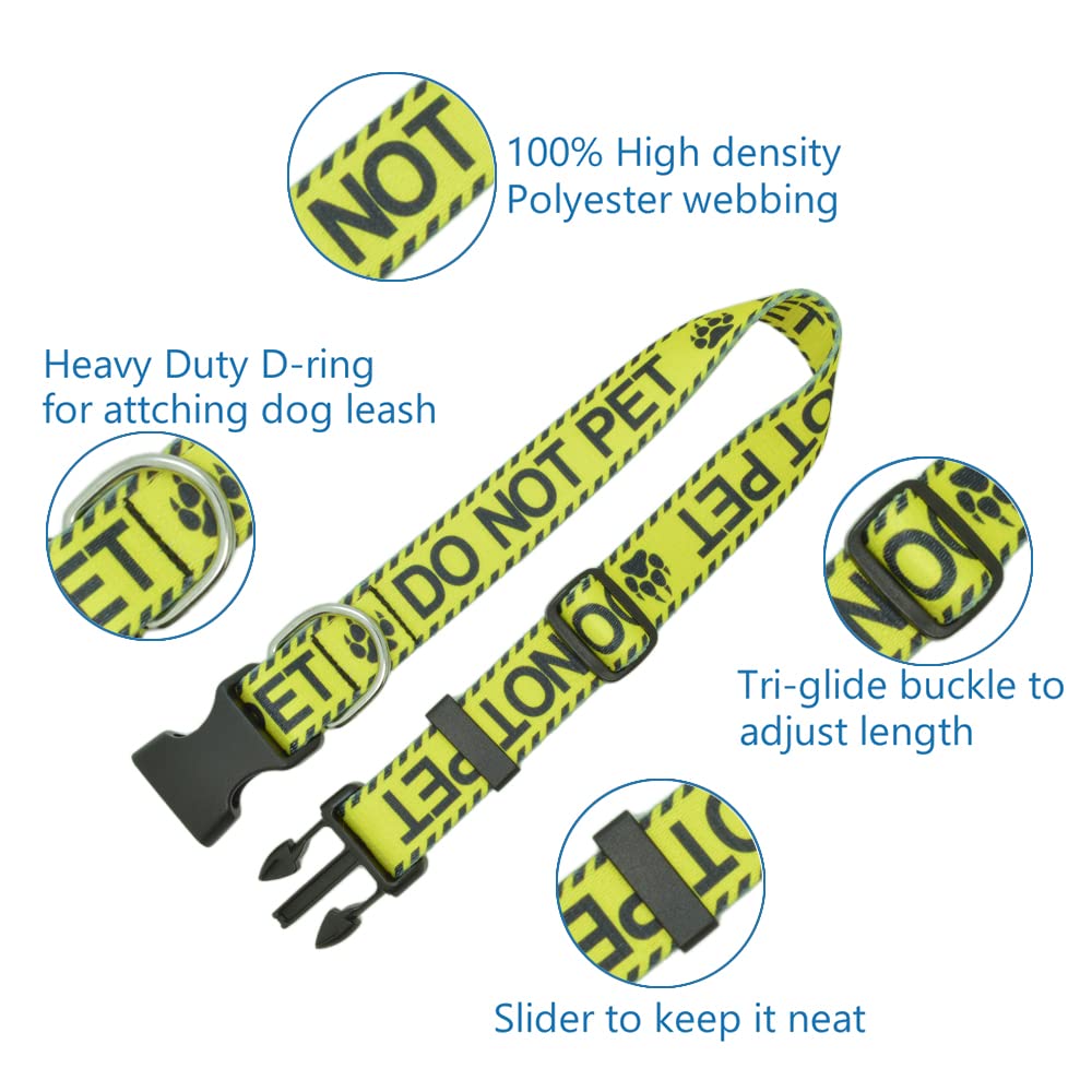 DWOOFG collar with easy-click buckle for quick, hassle-free outings.