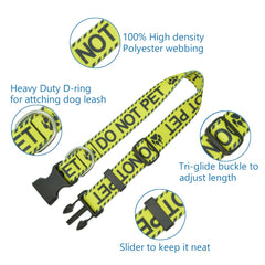 DWOOFG collar with easy-click buckle for quick, hassle-free outings.