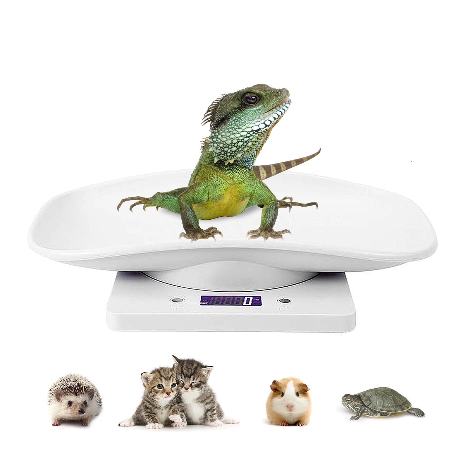 DWSFADA digital pet scale front view demonstrates compact, accurate pet weighing for small animals.