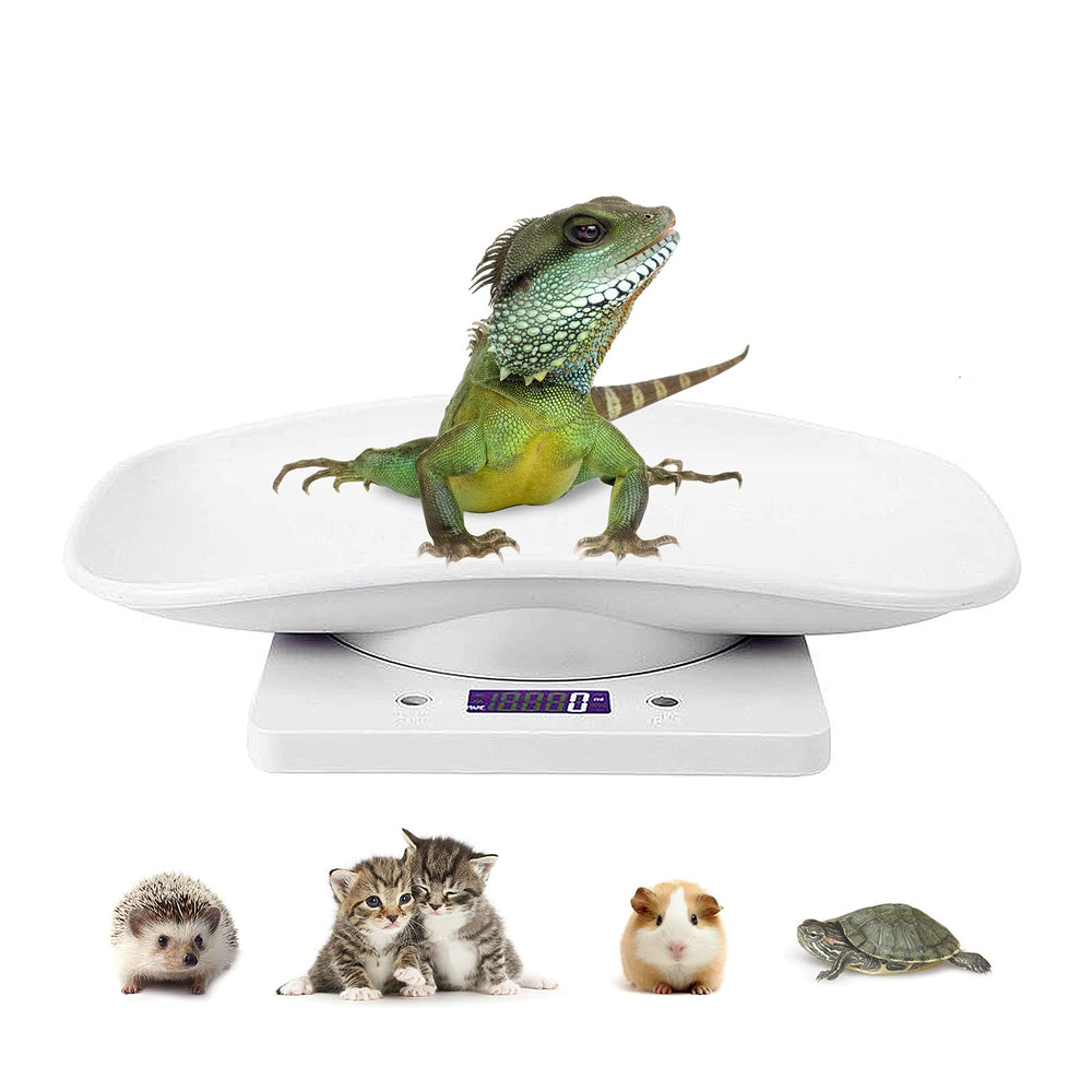 DWSFADA digital pet scale front view demonstrates compact, accurate pet weighing for small animals.