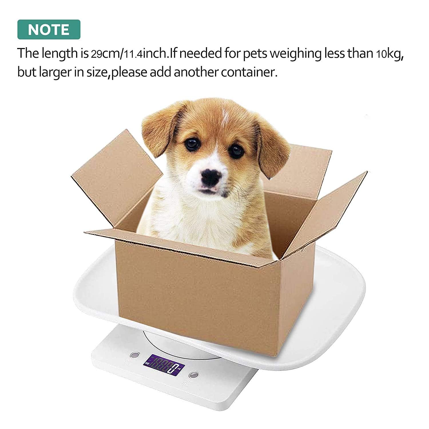 DWSFADA digital pet scale kitchen-use angle shows dual-purpose for cooking measurements.