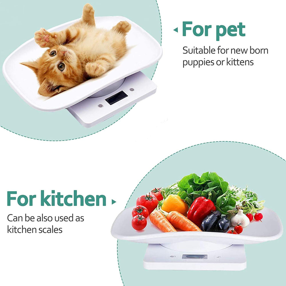 DWSFADA digital pet scale LCD display close-up highlights bright backlight for easy reading.