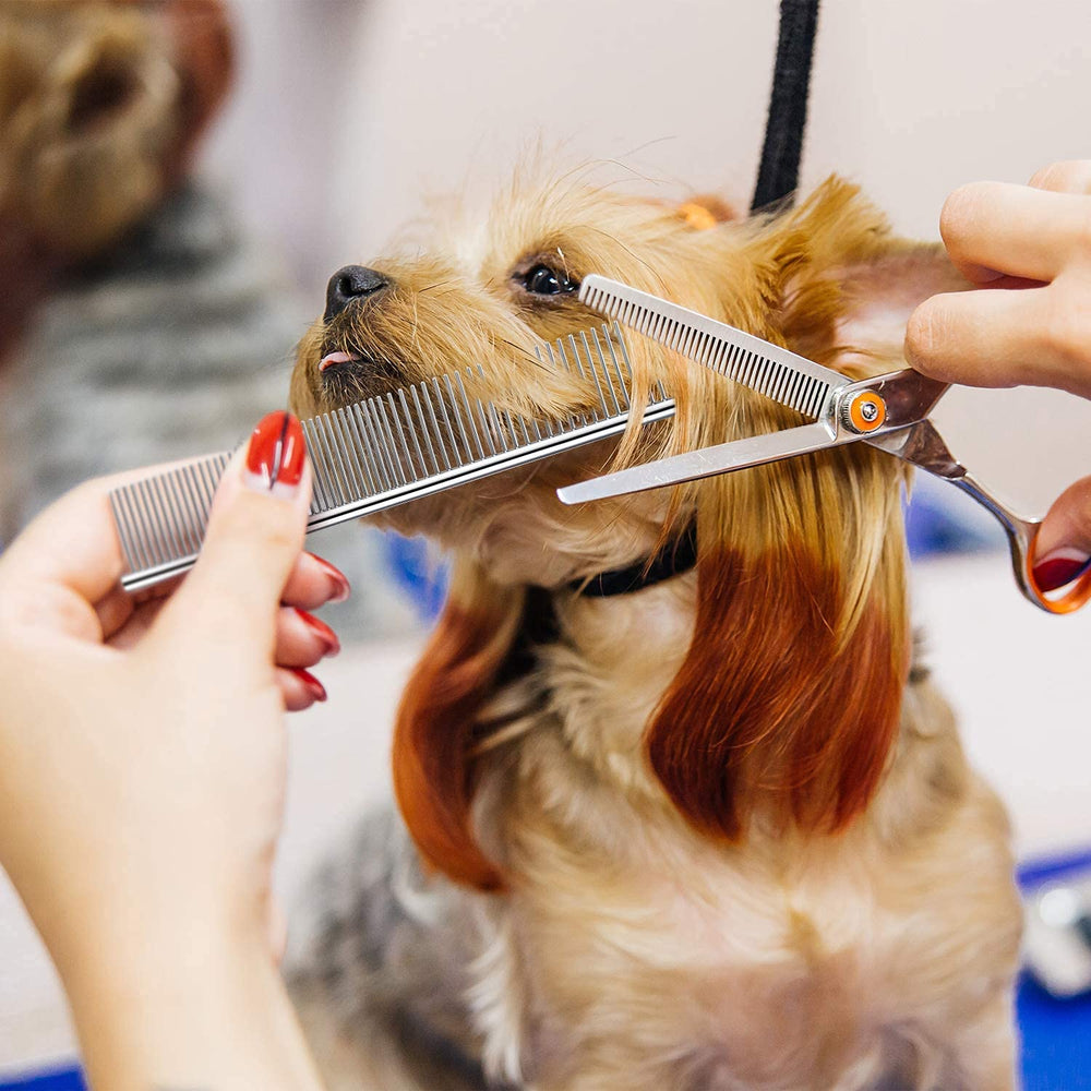 Dxlam compact dog comb in bag emphasizes travel-friendly grooming.