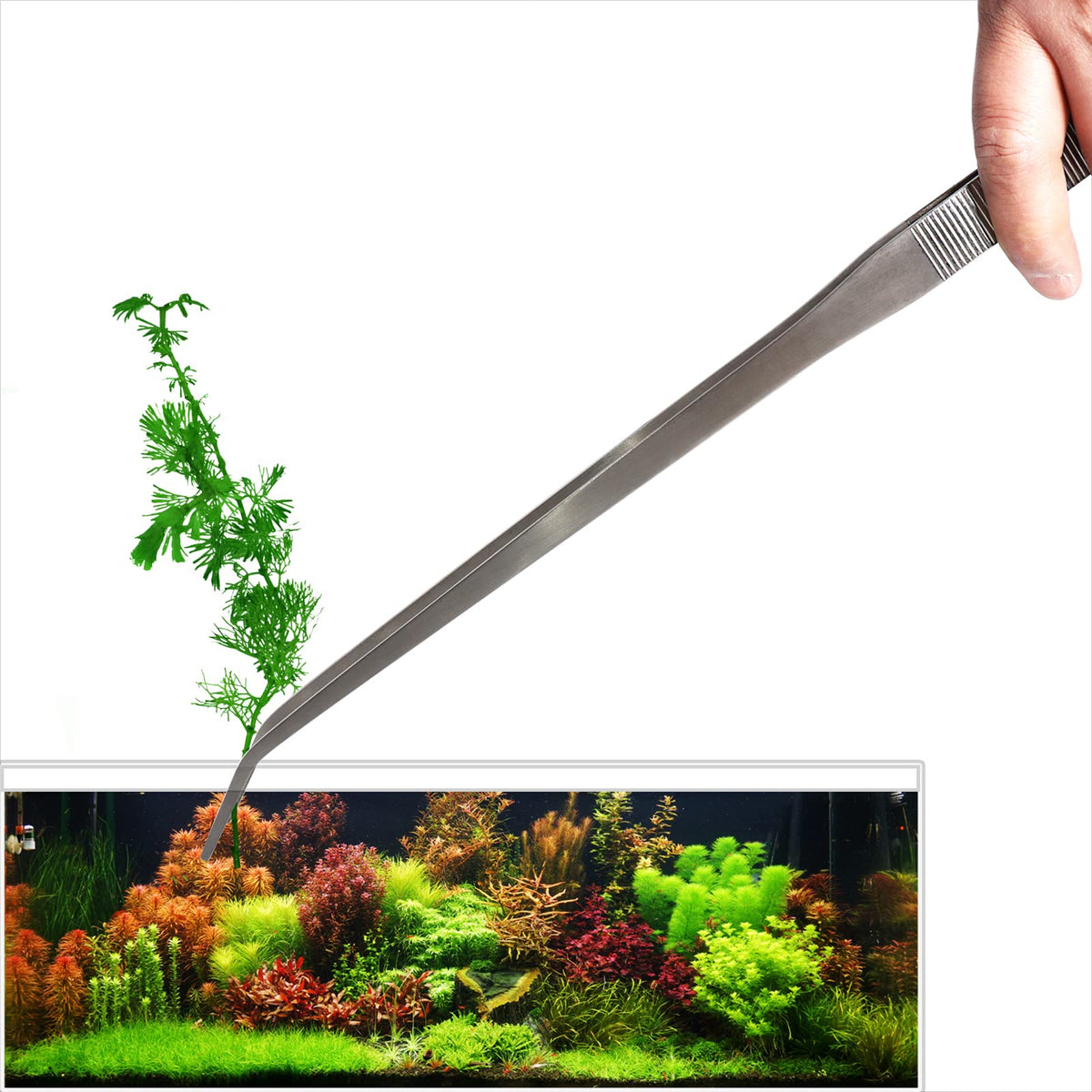 DXOBAY 18.9-inch heavy-duty tweezers with long reach for safe feeding and maintenance