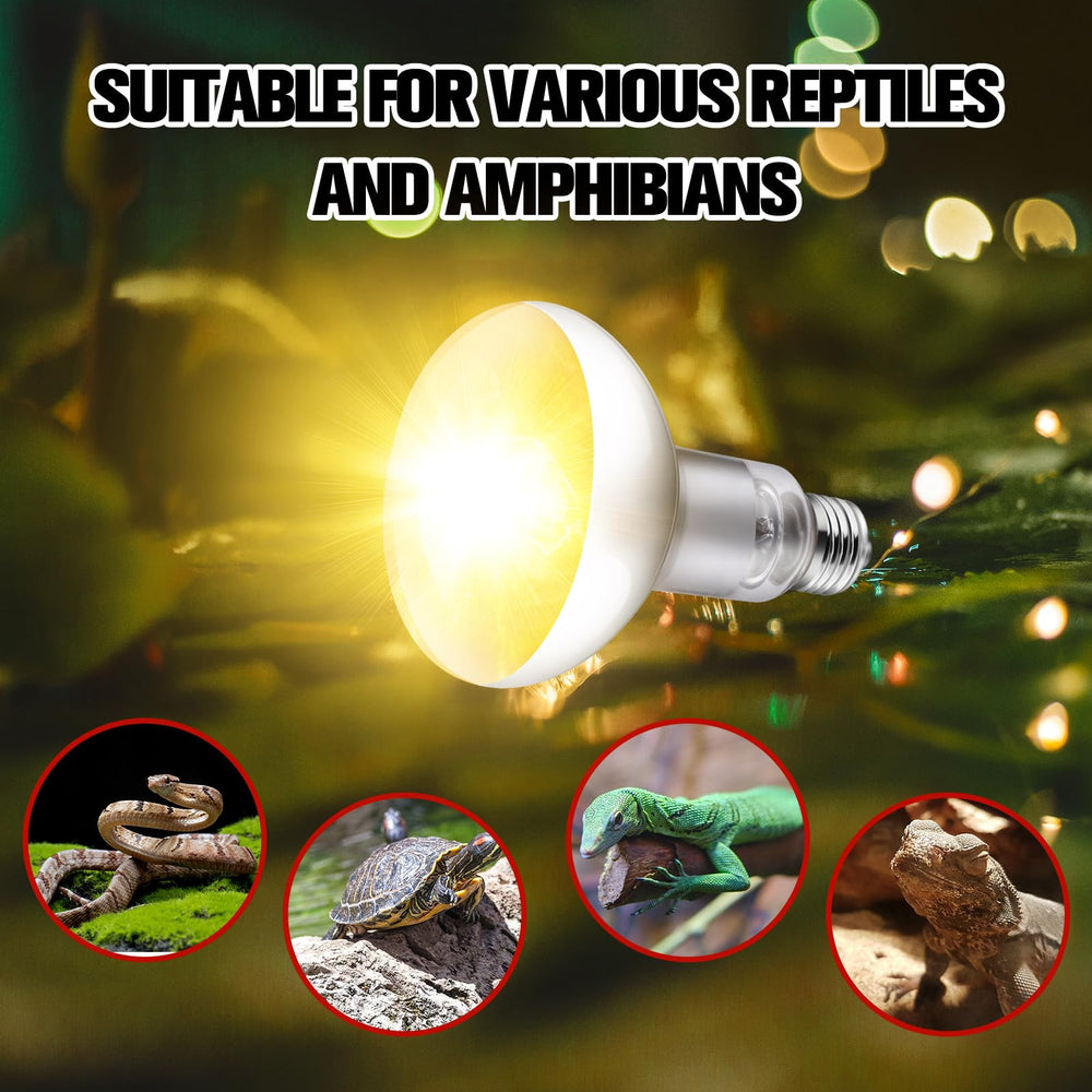 DXOPHIEX after-sales support highlights easy replacement and helpful assistance.
