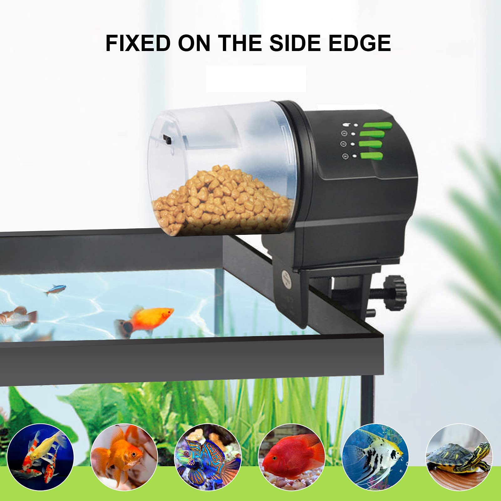 DXOPHIEX edge-mount feeder secures placement beside the tank.