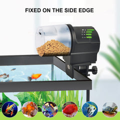 DXOPHIEX edge-mount feeder secures placement beside the tank.