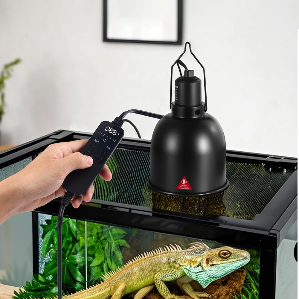 DXOPHIEX bearded dragon basking scene demonstrates reliable heat for healthy activity.