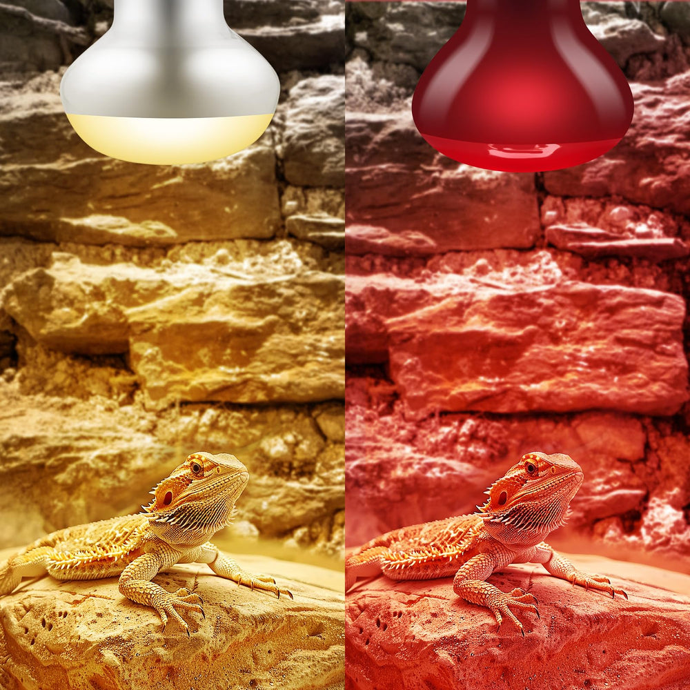 DXOPHIEX frosted-glass cover delivers soft light and protects reptile vision
