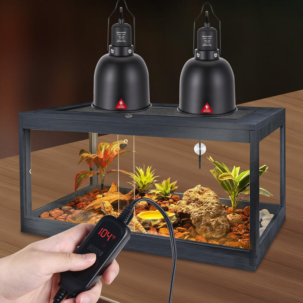 DXOPHIEX reptile terrarium setup with this fixture supports bearded dragon habitats.