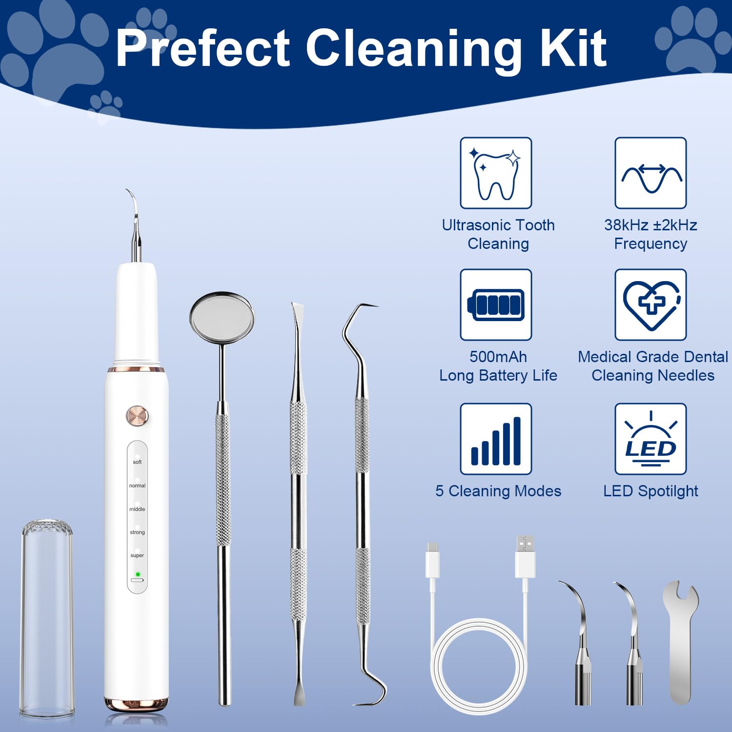 DYALE complete cleaning kit with mirrors and replaceable heads.