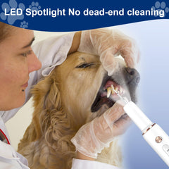DYALE Safe and Smart Design stops vibration on gums for safety.