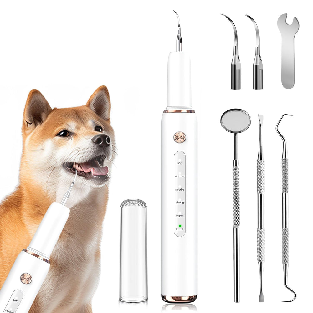 DYALE Sonic Tooth Cleaner front view for gentle dog dental cleaning.