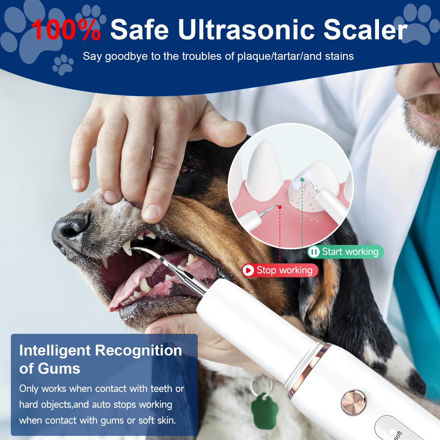 DYALE ultrasonic vibration demo illustrating plaque removal for dogs.