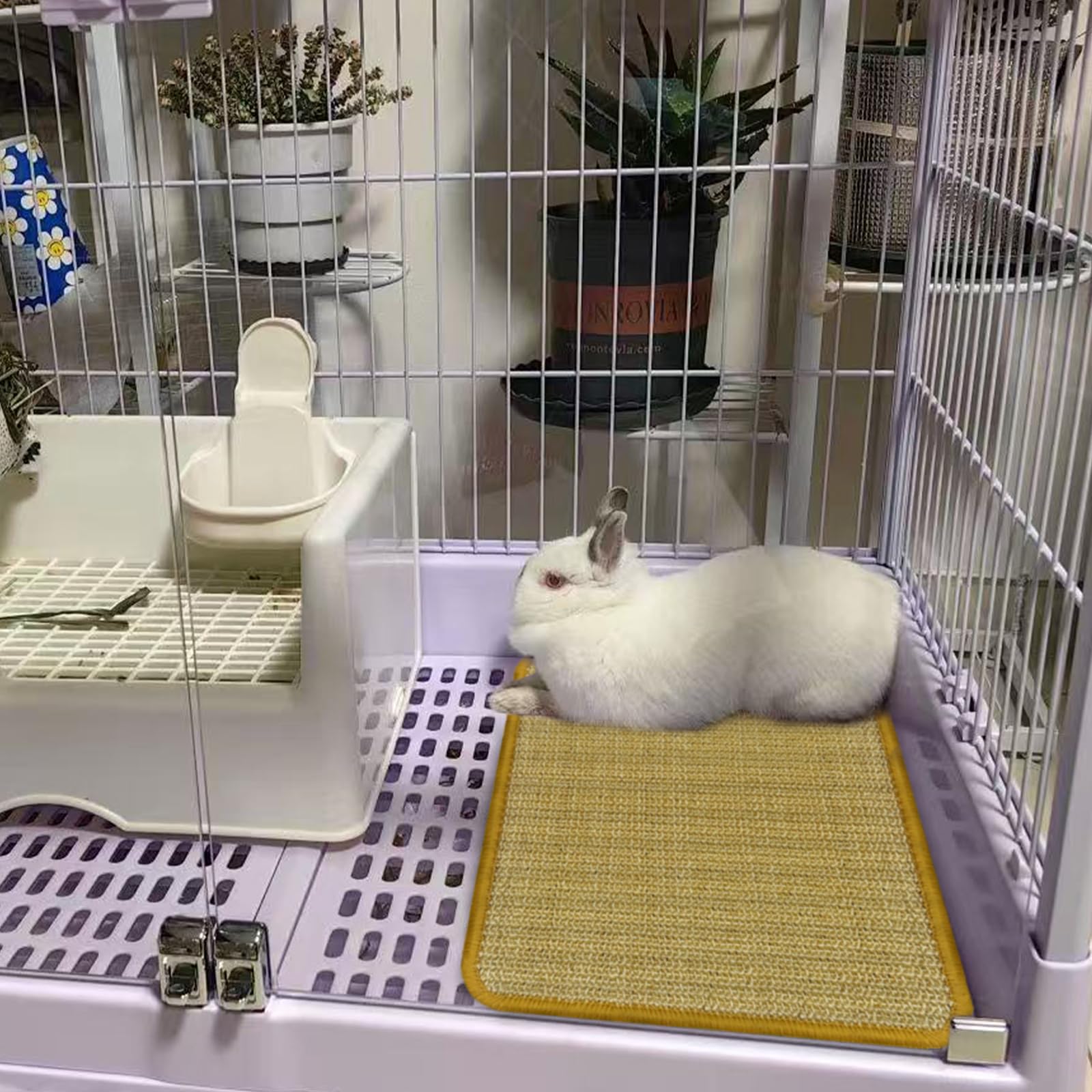 DYAUS Small pets foraging mat suitable for rabbits, guinea pigs, and hamsters.