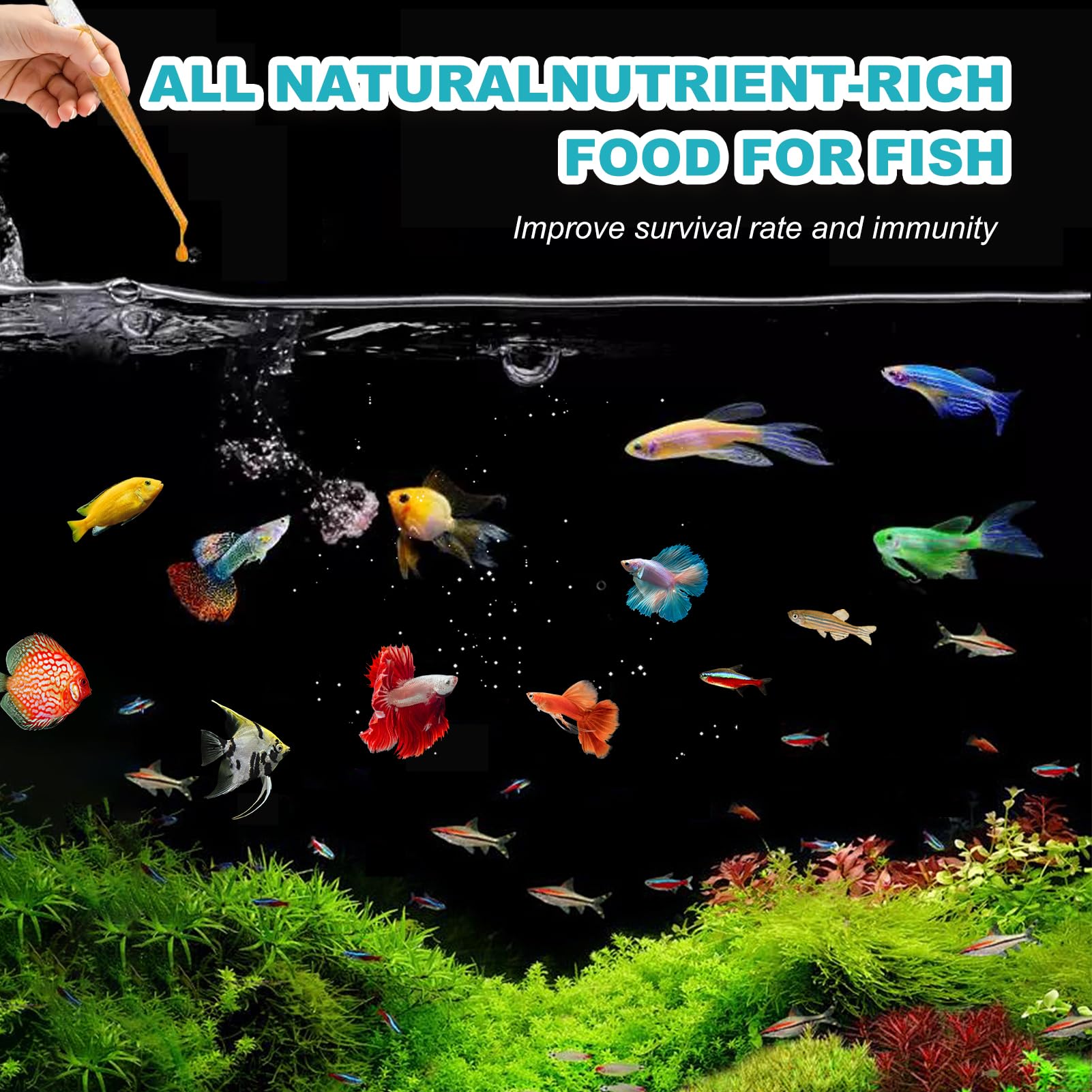 Dylan's cabin brine shrimp eggs refrigeration guidance supports freshness.