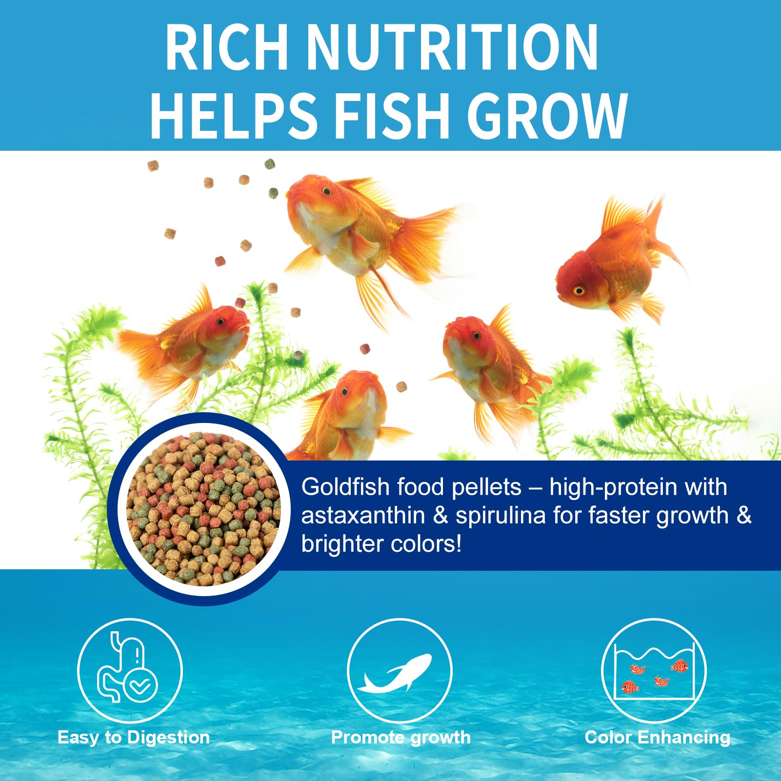 Dylan's cabin daily feeding floating pellets; simple pond nutrition routine
