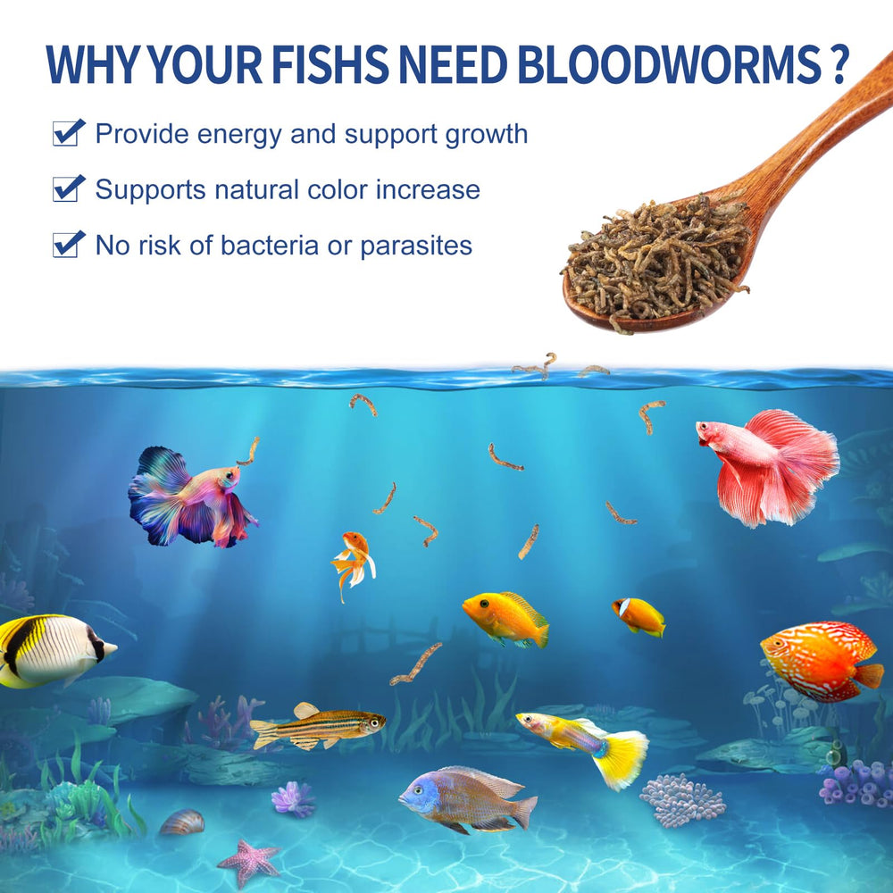 Dylan's cabin Freeze Dried Blood Worms on shelf display offers convenient purchase option.
