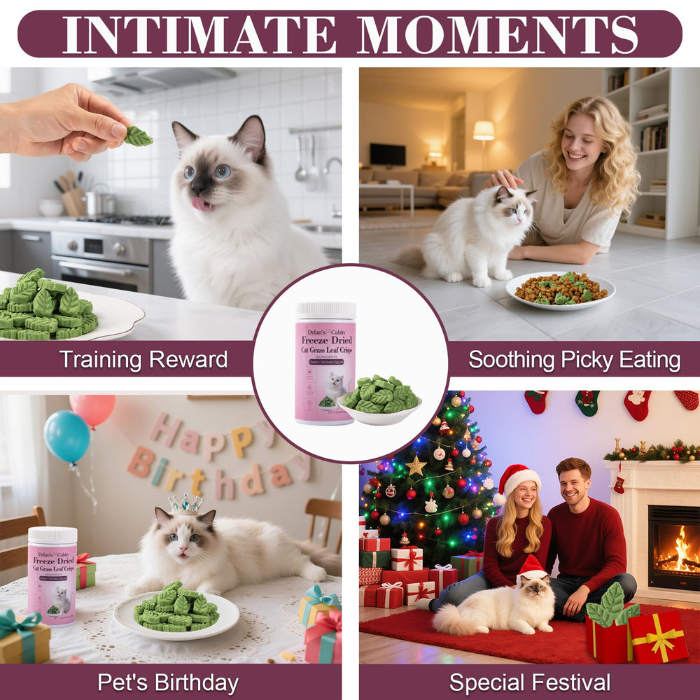 Dylan's Cabin Freeze Dried Cat Grass Treats dental care focus aiding teeth cleaning