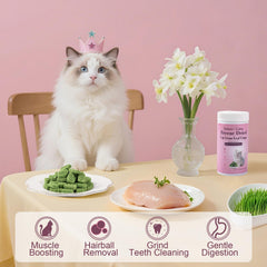 Dylan's Cabin Freeze Dried Cat Grass Treats training reward in action during playtime