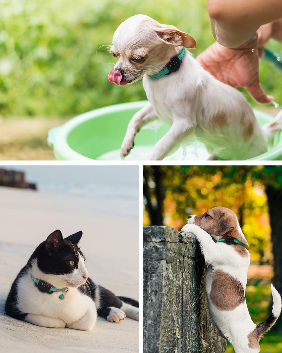 Dynmeow black Airtag holder on 5/8-inch collar offers secure tracking with style