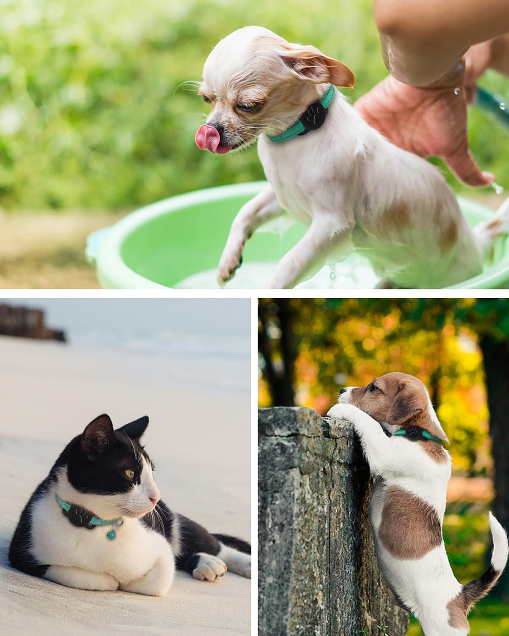 Dynmeow black Airtag holder on 5/8-inch collar offers secure tracking with style