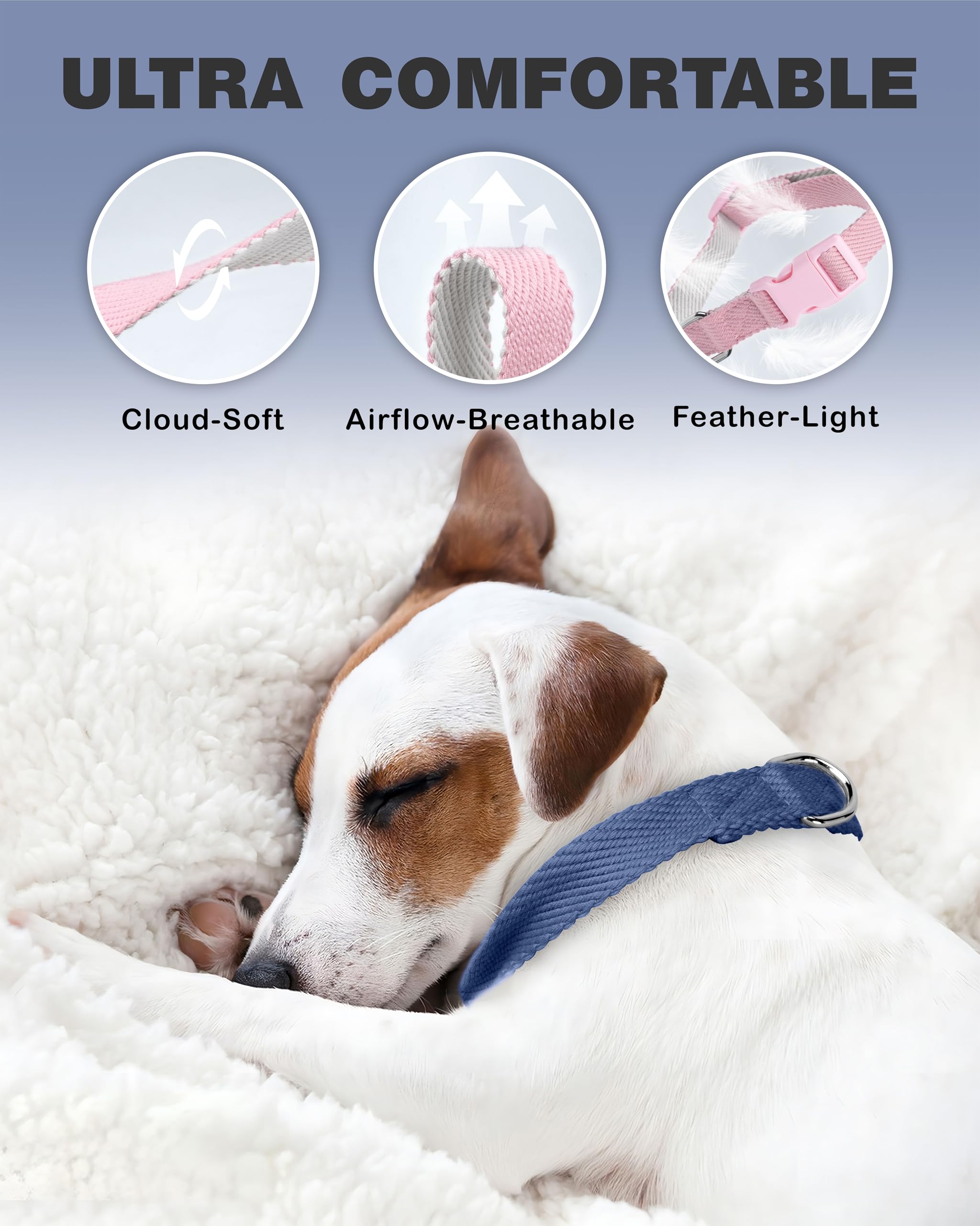 Dynmeow d-ring and tag attachment closeup highlights sturdy hardware for reliable leash use.