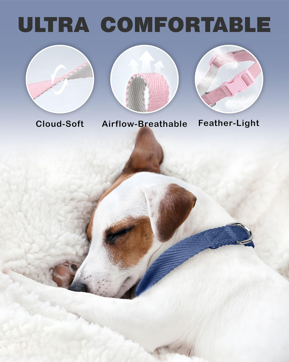 Dynmeow d-ring and tag attachment closeup highlights sturdy hardware for reliable leash use.