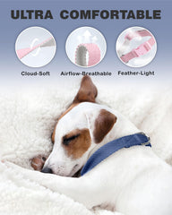 Dynmeow d-ring and tag attachment closeup highlights sturdy hardware for reliable leash use.
