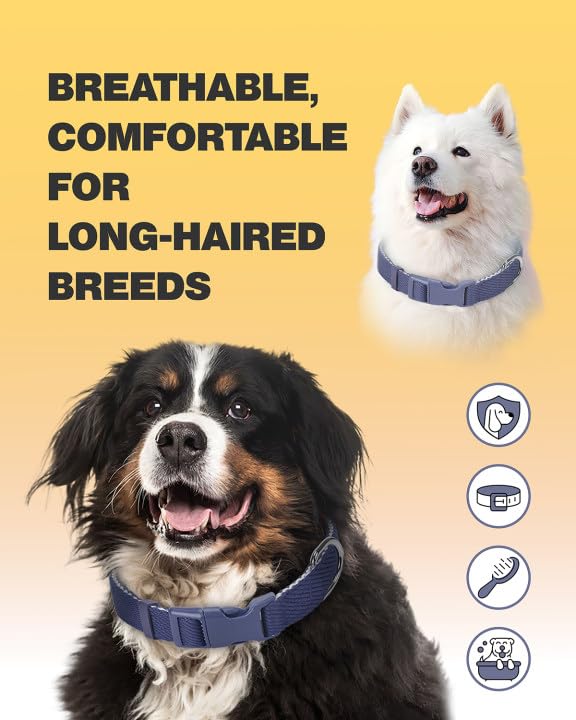 Dynmeow easy care wash hands shows quick cleaning to keep collars ready.