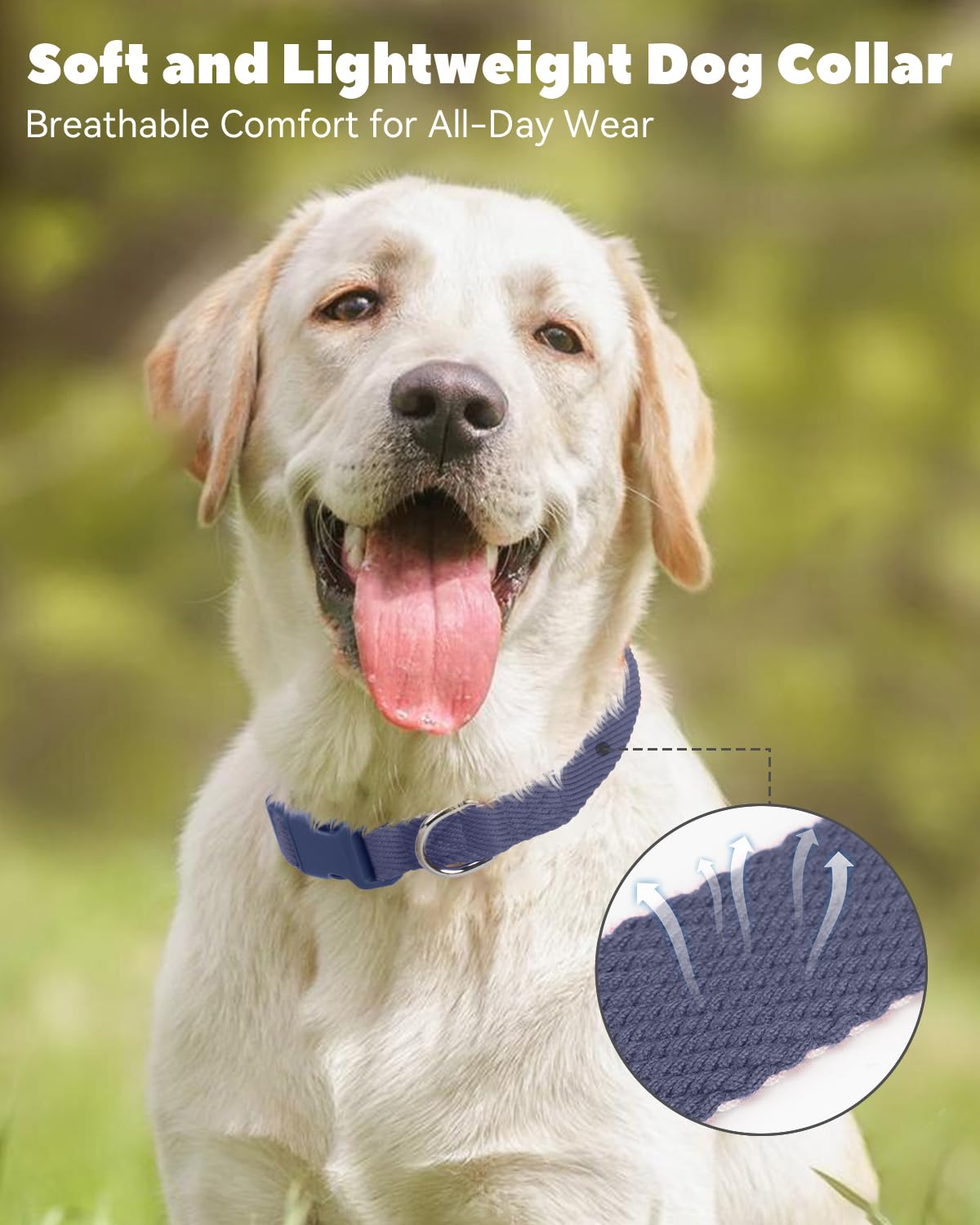 Dynmeow outdoor walk with collar captures lightweight design during daily strolls.