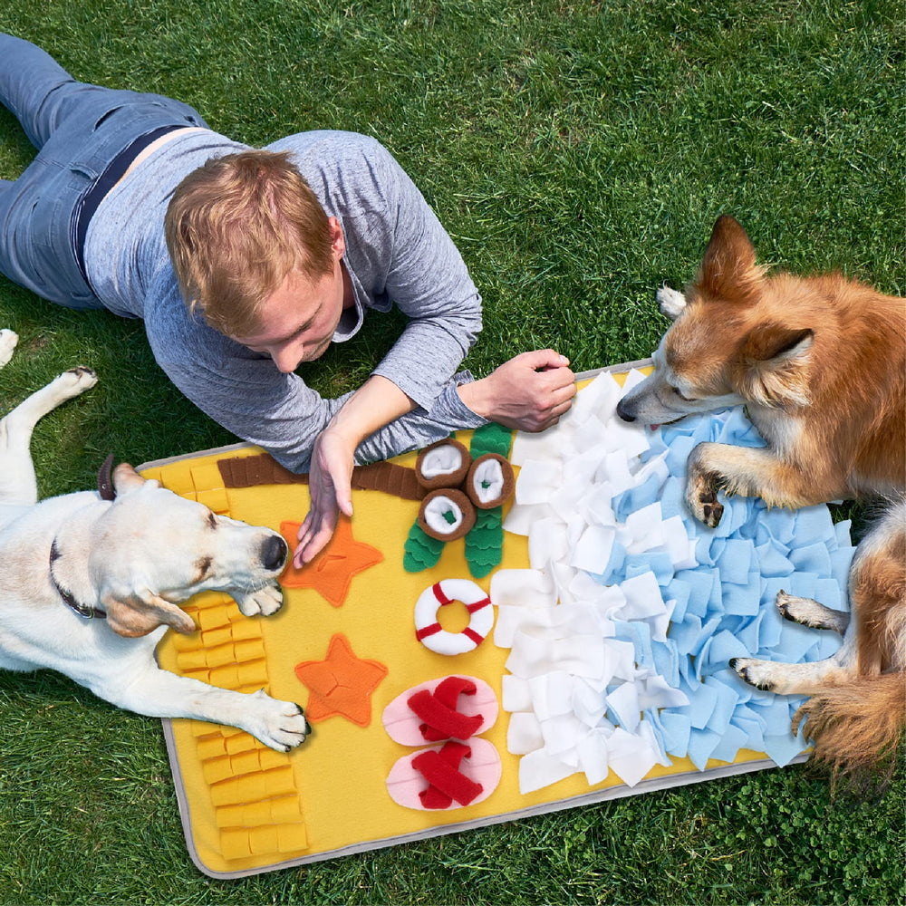 DyPinYise snuffle mat easy-roll strap storage for quick setup and transport.