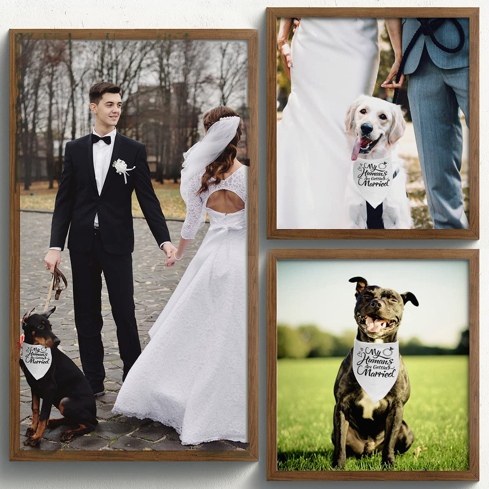 Dzmodz pet scarf engagement announcement in black suitable for event wear